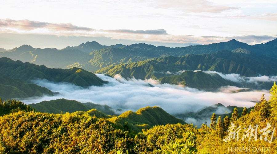 瑶山竹海 云雾缭绕 - 美丽湖南 - 新湖南