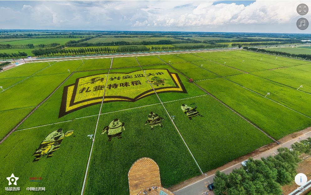 幸福花开新边疆希望的田野好力保镇稻田画描绘新美景