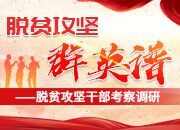 “三军”过后尽开颜——记平江县南江镇党委书记李三军