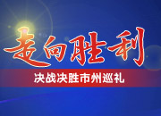走向胜利·决战决胜市州巡礼丨产业振翅 “雁”翎生辉——衡阳市脱贫攻坚的生动实践