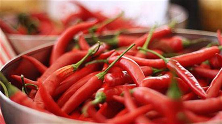 湖南的辣椒来自广东沿海 最初多称“海椒”