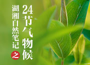 湖湘自然笔记·我们的24节气物候记