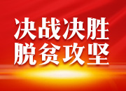 决战决胜脱贫攻坚丨老汉不服老 引发创业潮