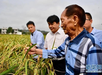 袁隆平：挽起裤管下田，是中国农耕文化在农业科技中的延续和传承