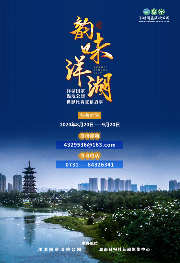“韵味洋湖”摄影比赛征稿启事 - 推荐 - 新湖南