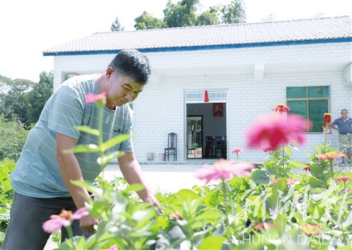 八字哨镇金家堤村民黄学文在改造后的新居前整理花圃。 李 冰 摄