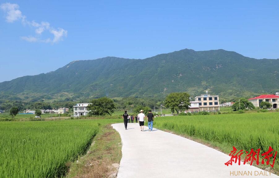 摇啊摇,一摇到虹桥