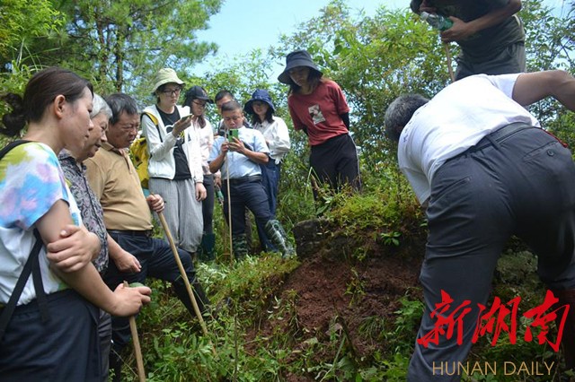 调研团在“古长城”处进行深度考查。