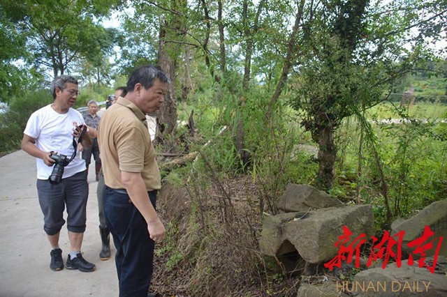 调研团在“古军屯城遗址”处调研。
