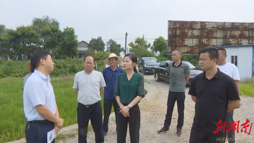 9月9日下午,澧县县委副书记徐桢前往城头山镇孙家村,詹家岗