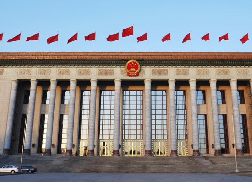 楼继伟：中国式民主在中国行得通、很管用