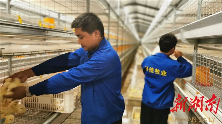 常德：减税降费助力健康食品产业“乘风破浪”