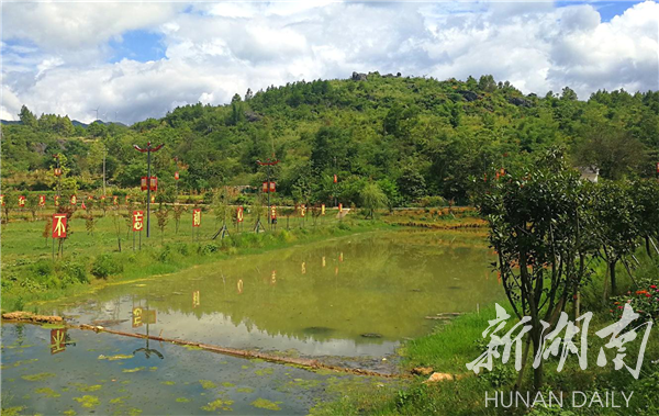 (永州市道县四马桥镇馒头岭 周镜忠摄)