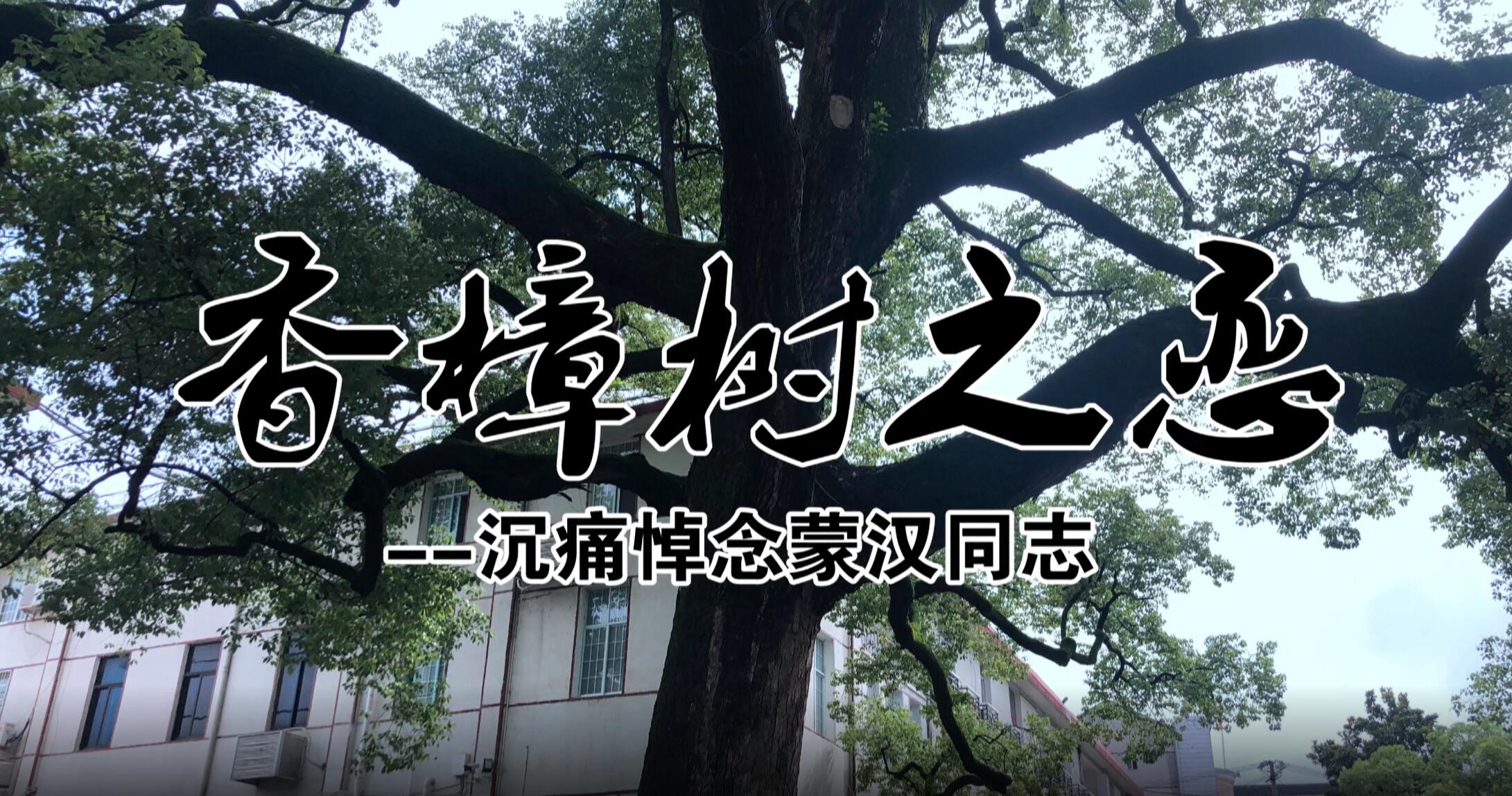 香樟树之恋——追记怀化市人大常委会原副主任、溆浦县委原书记蒙汉（上）