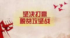 国网祁阳县供电公司：“五个一”活动圆梦扶贫村