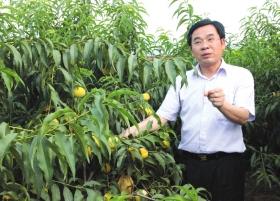 青山犹盼燕归来——追授黄诗燕同志“全国脱贫攻坚模范”称号大会暨黄诗燕同志先进事迹报告会侧记