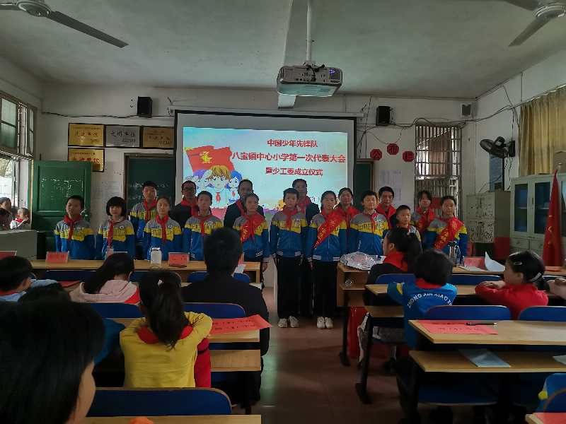 祁阳八宝镇中心小学第一届少代会成功召开