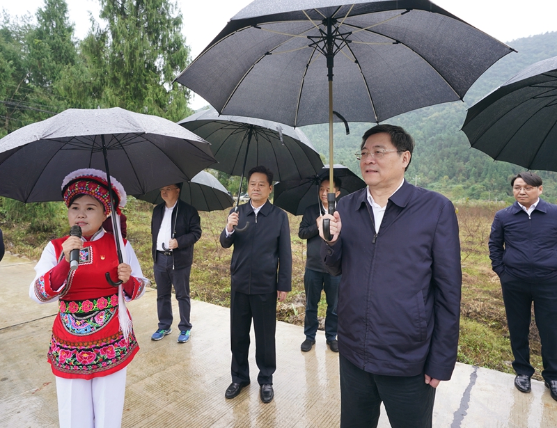 杜家毫：乡村振兴，关键要组织起来