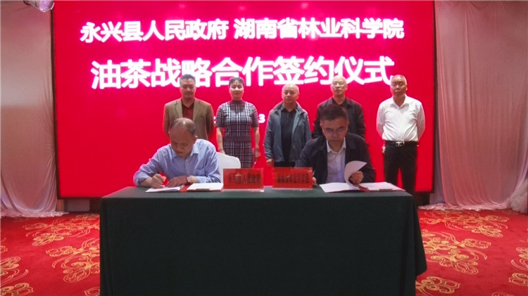 永兴县与湖南省林业科学院举行油茶战略合作签约仪式