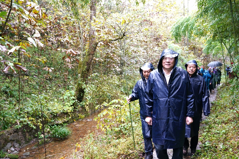 快讯丨杜家毫徒步考察八大公山国家级自然保护区