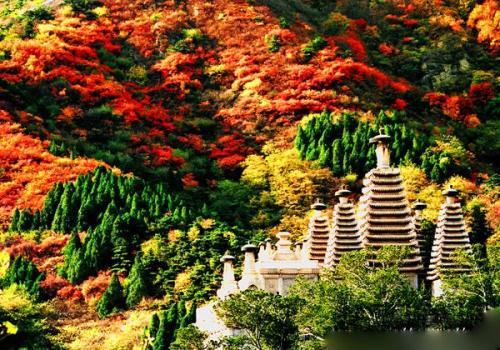香山公园明日迎首个秋季游园高峰日，游客须预约购票