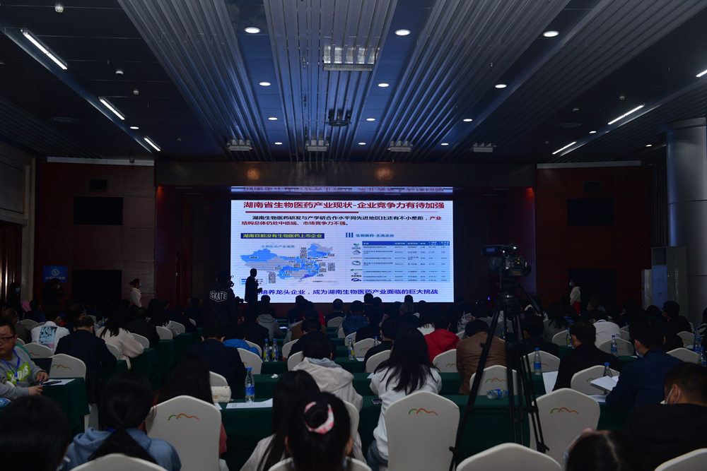 “创新赋能 湖湘论见”社会服务领域创新创业主题论坛在郴州举办