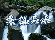 创意海报丨鲜有人知，桑植是水的世界