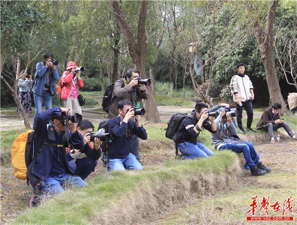 摄影大咖云集 探寻洋湖湿地十年嬗变背后的密码