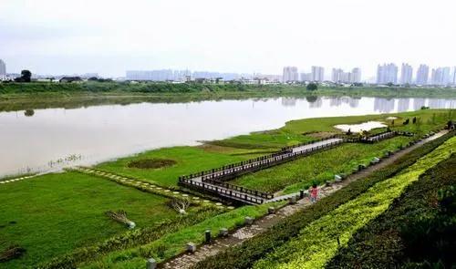 潇湘家书 生态篇章｜流光中细数家乡的点滴