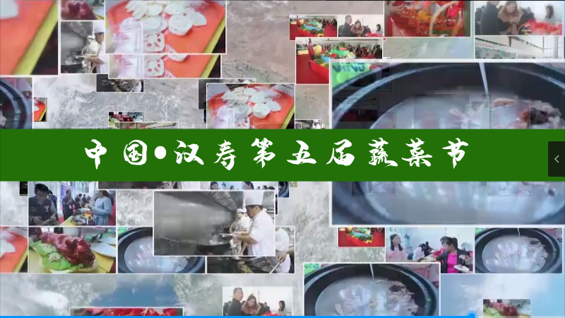 【专栏】中国•汉寿第五届蔬菜节