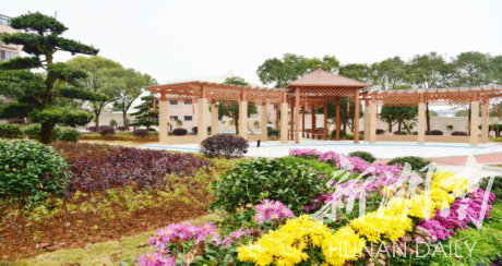 祁阳哈弗中学：融德育于学校园林建设中