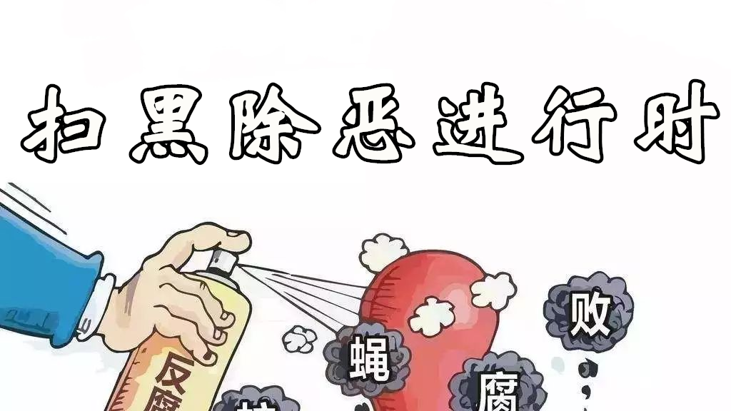【专栏】扫黑除恶进行时