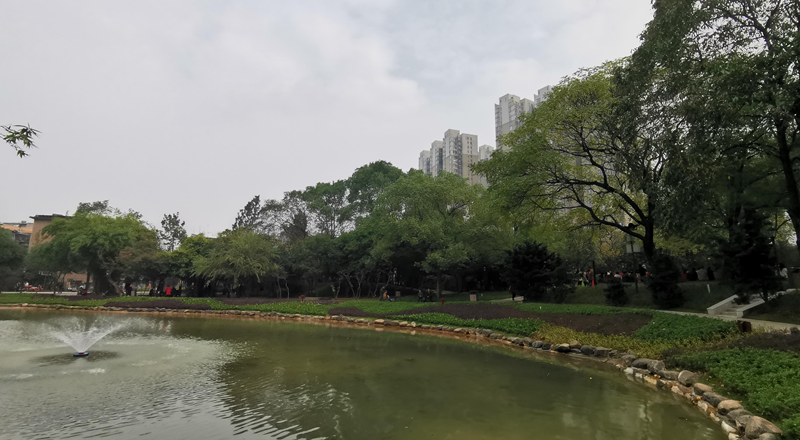 长沙桂花公园换新装，邀“市民园长”共建共管