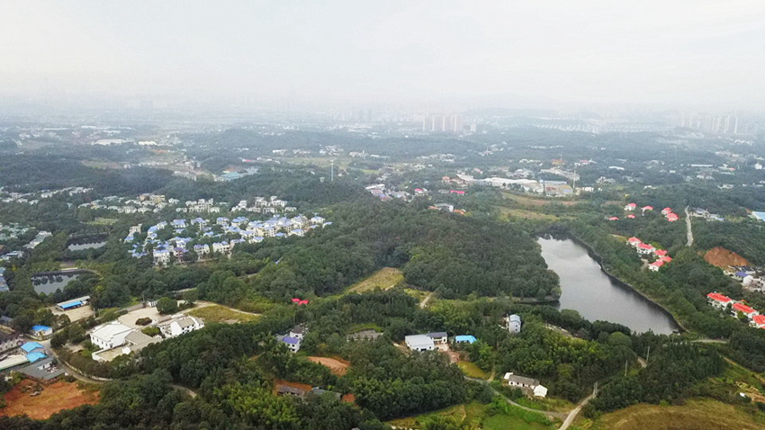 汉回村：都市里的特色民族村