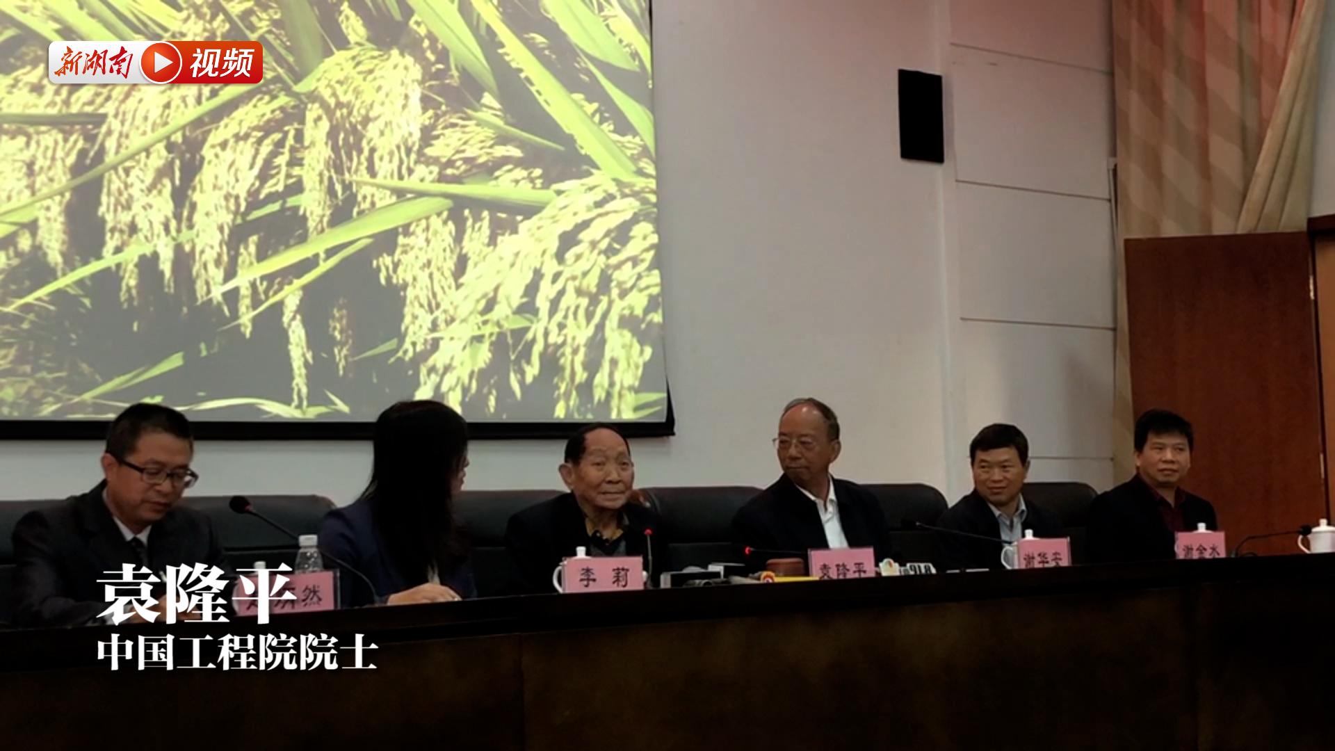 袁隆平：要从“九零”后一直干到“百零”后(附视频)
