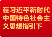 凝聚精神力量，推进文化强省建设破浪前行