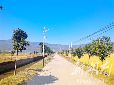 祁阳梅溪镇：推进绿化攻坚  共建美丽家园