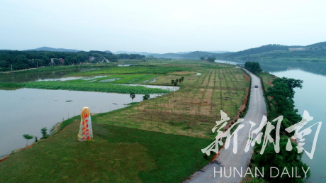 祁阳：林长制改革试点铿锵前行
