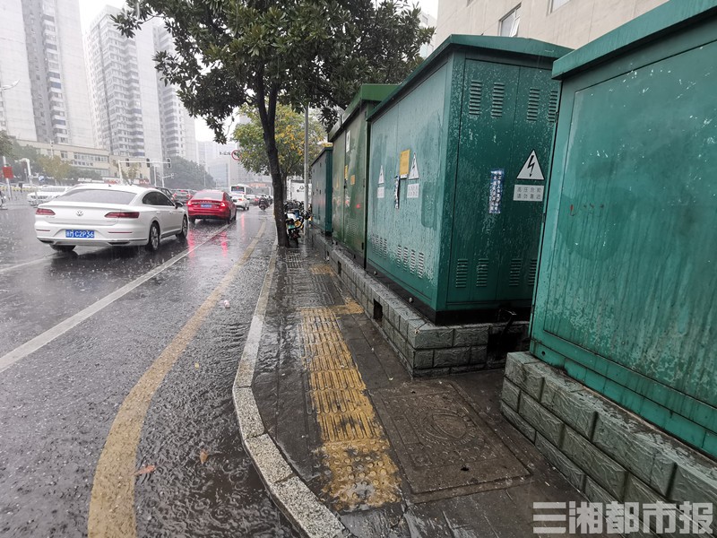 别让无障碍通道成障碍｜50米盲道频遇“拦路虎”：树池、电动车、电力柜、井盖