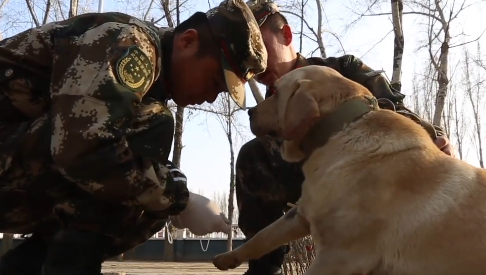 日前,全軍首次軍犬專業士兵技師資格鑑定在武警呼和浩特警犬基地展開