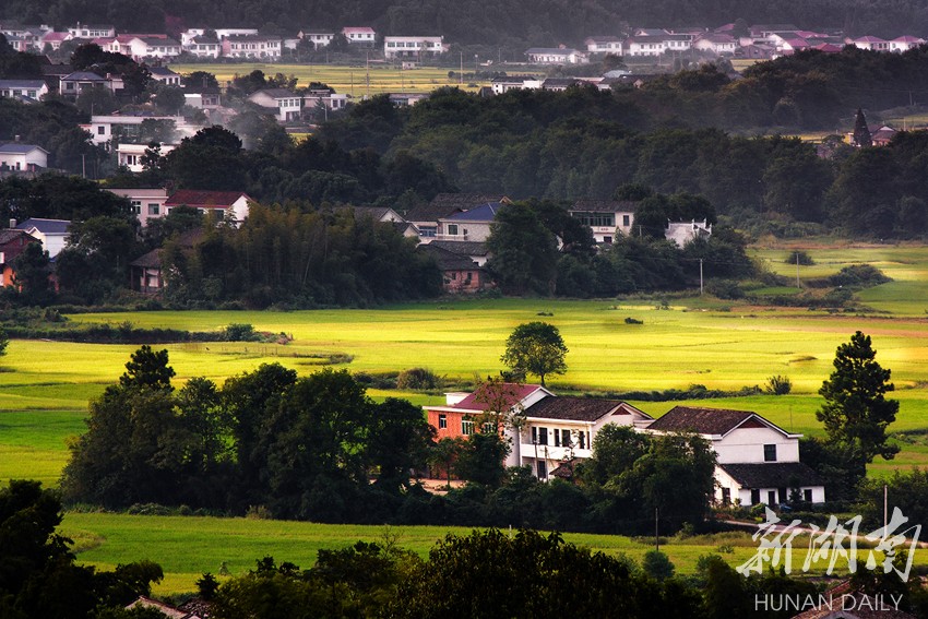 洞阳镇位于浏阳市西北部,背靠浏阳经济开发区,素有"洞天福地"之美称.