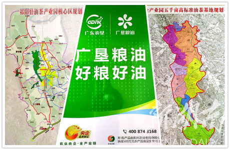 祁阳油茶再添两“国”字殊荣