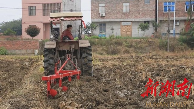 安仁:全面推广水稻田深翻耕技术 助农户增产增收 - 安仁 - 新湖南