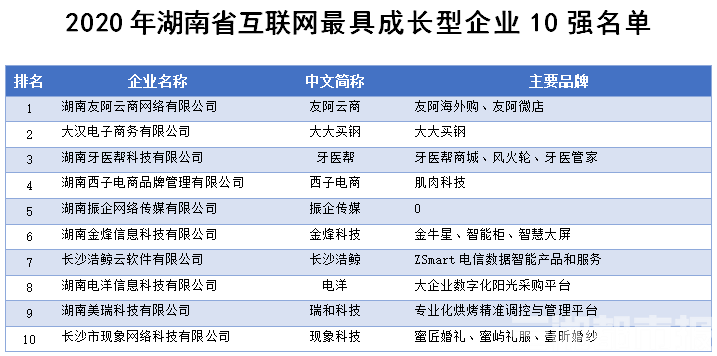 长沙企业囊括2020年湖南省互联网企业50强