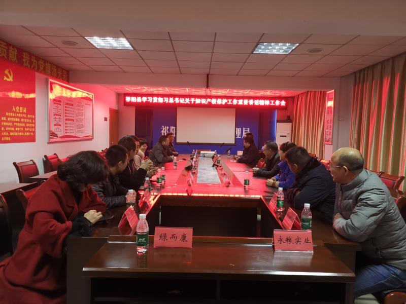 做好知识产权保护 推进经济社会发展