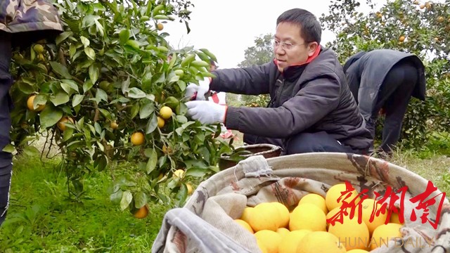 龚红果简历图片