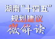 湖南“十四五”规划建议微解读丨激发基层治理蓬勃活力