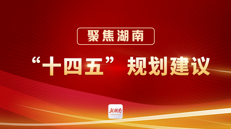 湖南“十四五”规划建议微解读丨提升主导产业本地配套率