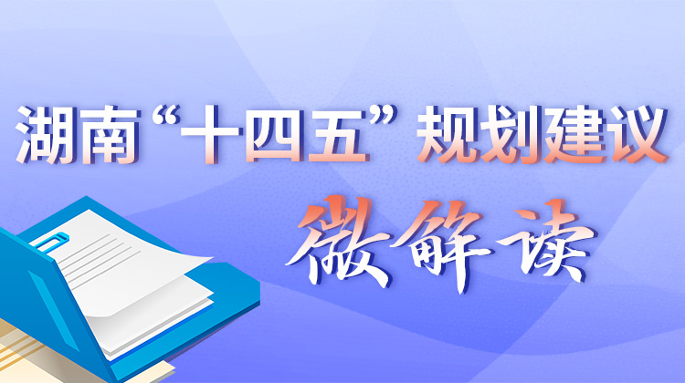湖南“十四五”规划建议微解读丨“社会保险省级统筹”如何推进