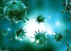 澳研究显示：感染新冠病毒后免疫力至少维持8个月
